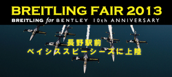 BF2013-1ban.banner.2.jpg.222.jpg